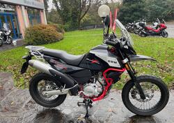 Swm Superdual 600 T (2018 - 20) usata