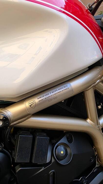 Ducati Monster 1200 25° Anniversario (2018 - 19) (2)