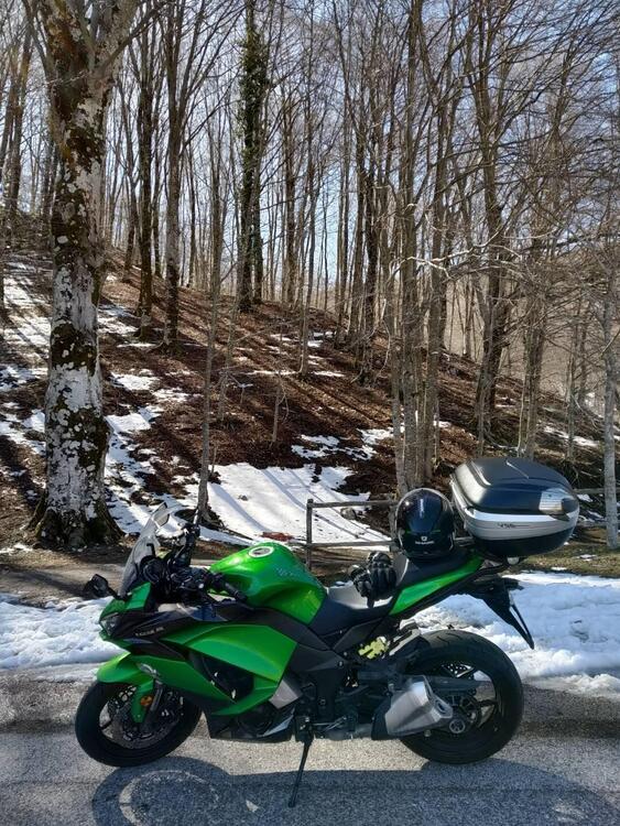 Kawasaki Z 1000 SX (2017 - 20)