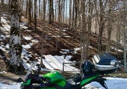 Kawasaki Z 1000 SX (2017 - 20) usata