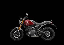 Triumph Speed 400 (2024 - 25) usata