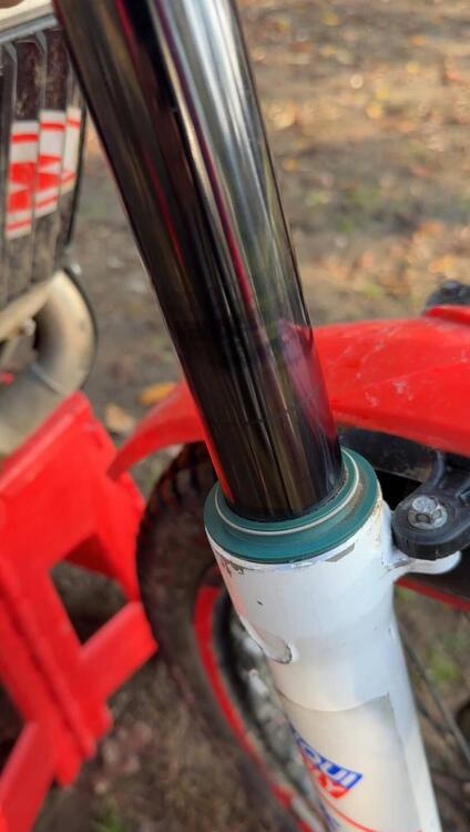 Betamotor Evo 300 2t Factory (2017) (4)