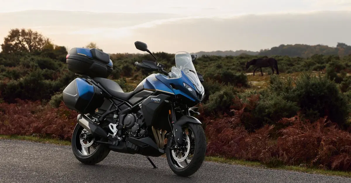 Triumph Sport 800 Tour