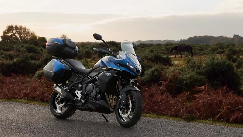 Triumph Sport 800 Tour