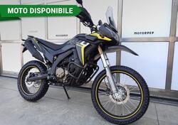 Voge Valico 300 Rally (2022 - 25) nuova