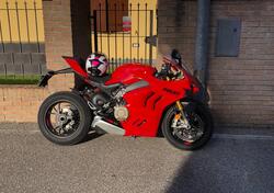 Ducati Panigale V4 S (2022 - 24) usata