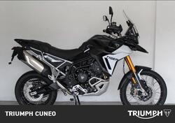 Triumph Tiger 900 Rally Pro (2024 - 25) usata