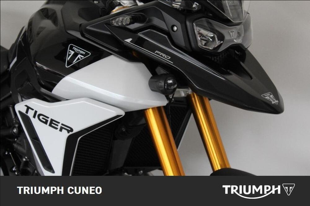Triumph Tiger 900 Rally Pro (2024 - 25) (2)