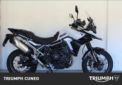 Triumph Tiger 900 GT Pro (2024 - 25) usata