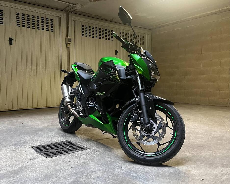 Kawasaki Z 300 ABS (2015 - 16)