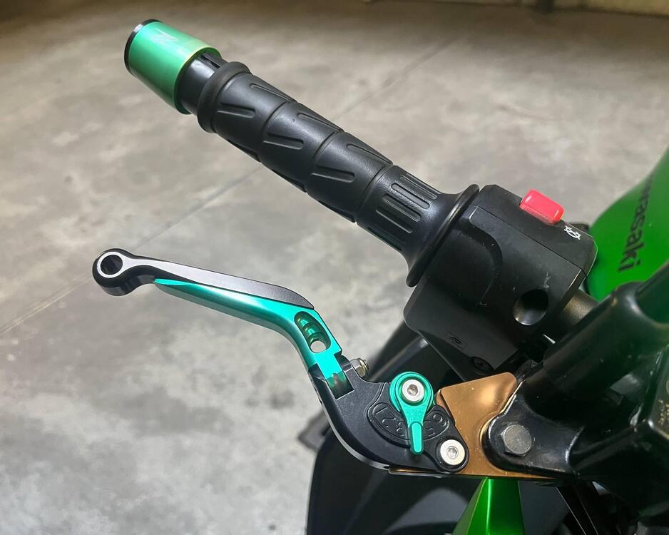 Kawasaki Z 300 ABS (2015 - 16) (4)