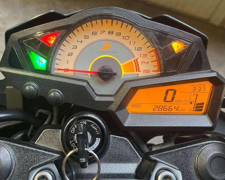 Kawasaki Z 300 ABS (2015 - 16) (5)