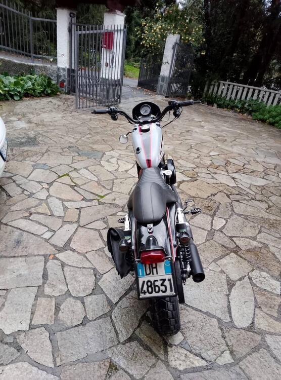 Harley-Davidson 883 R (2008 - 16) - XL 883R (4)