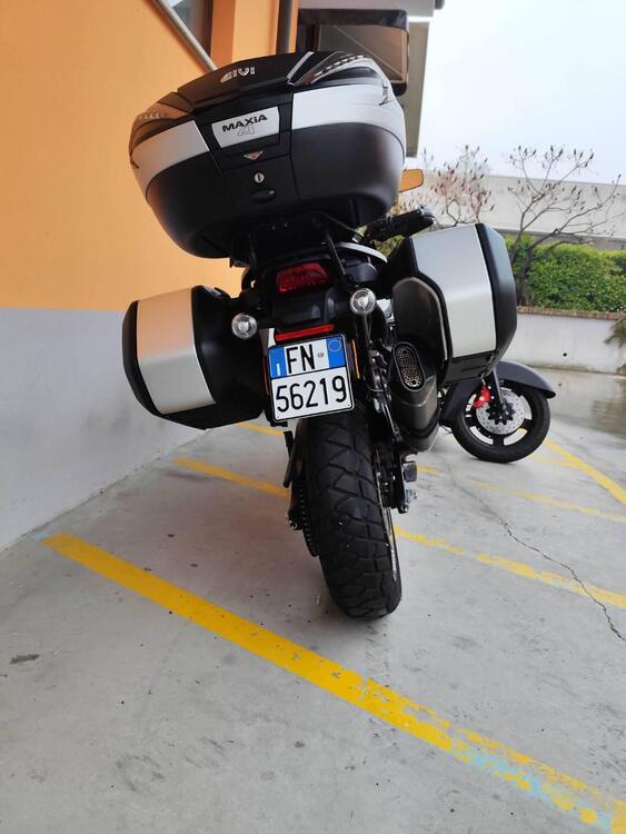 Harley-Davidson Pan America 1250 Special (2020 - 25) (4)