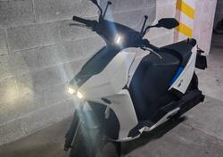 Ray 7.7 (2023 - 24) usata