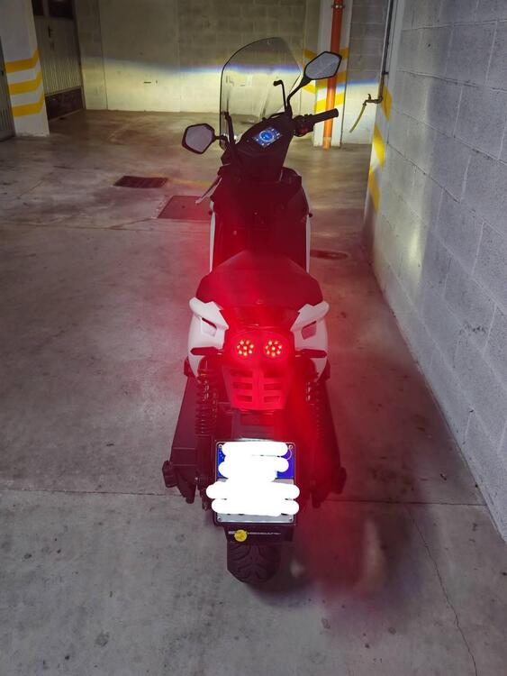 Ray 7.7 (2023 - 24) (2)