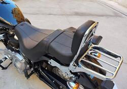 Harley-Davidson Softail Standard (2020) - FXST usata