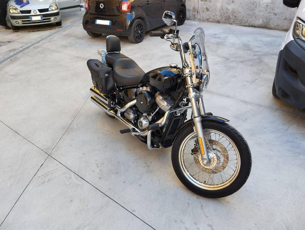 Harley-Davidson Softail Standard (2020) - FXST (3)