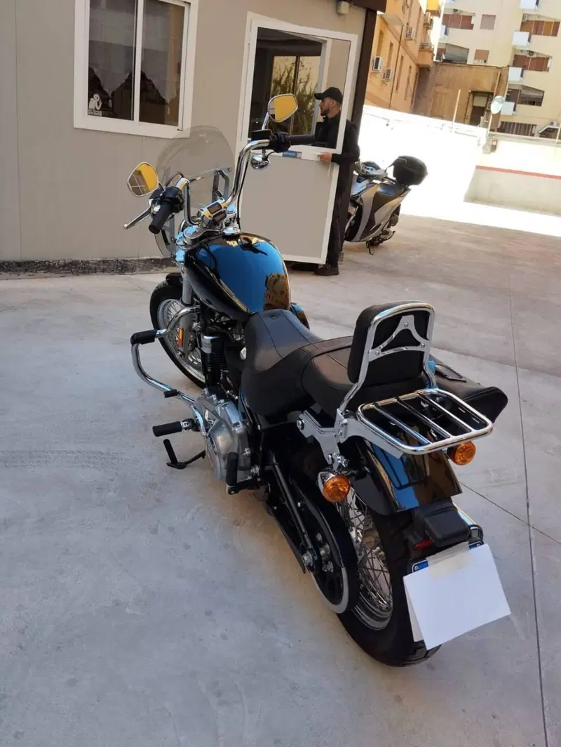 Harley-Davidson Softail Standard (2020) - FXST (6)