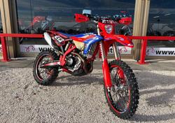 Betamotor RR 390 4T Enduro Racing (2023) usata