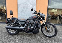 Harley-Davidson Nightster Special (2023 - 25) usata