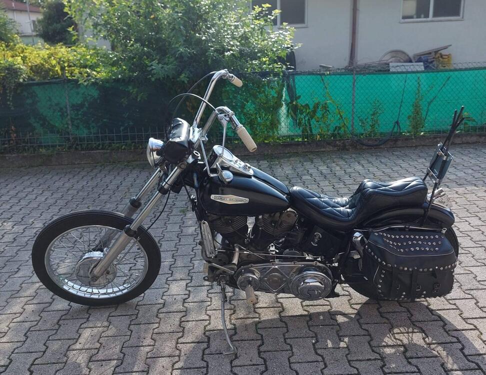 Harley-Davidson Earley Shovel chooper  (2)