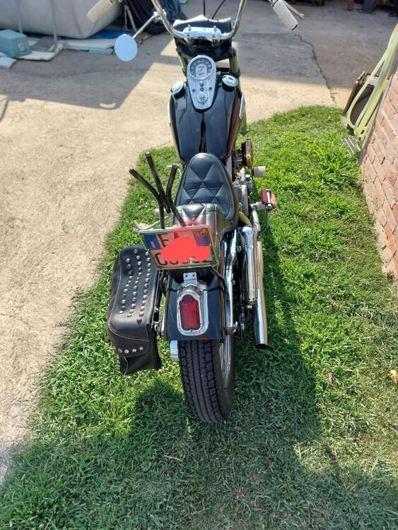 Harley-Davidson Earley Shovel chooper  (5)