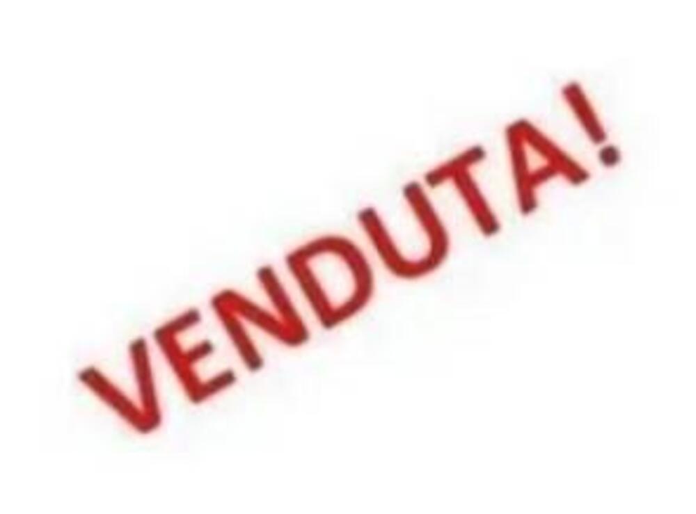 Ducati Scrambler 1100 Dark Pro (2020 - 24)