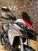 Ducati Multistrada 950 (2019 - 20) (9)
