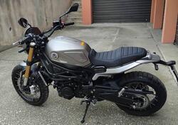 Benelli Leoncino 800 Trail (2022 - 25) usata