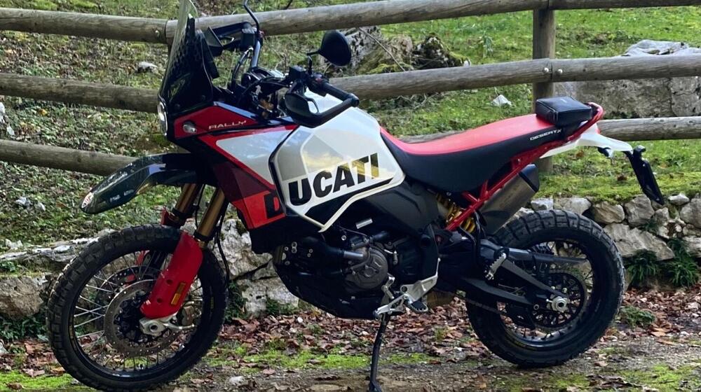 Ducati DesertX Rally (2024 - 25)