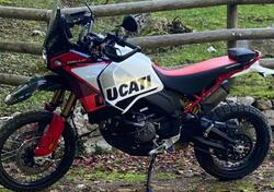 Ducati DesertX Rally (2024 - 25) usata