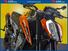 KTM 790 Duke L (2023 - 24) (13)