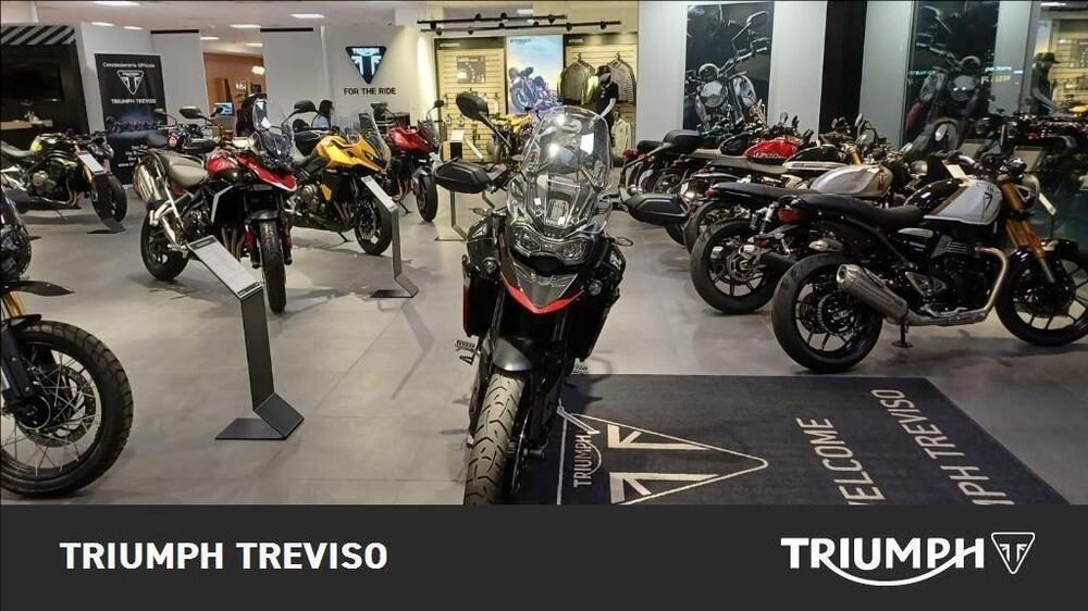 Triumph Tiger 900 GT Pro (2024 - 25) (3)