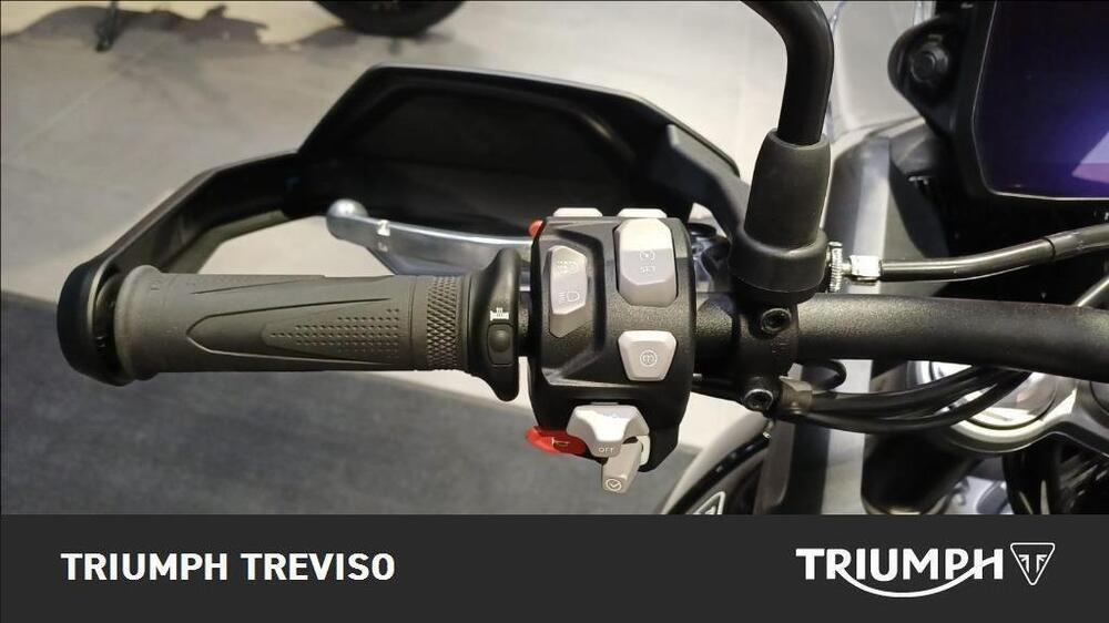 Triumph Tiger 900 GT Pro (2024 - 25) (5)