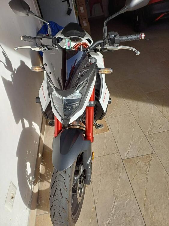 Honda CB 750 Hornet (2023 - 24) (2)