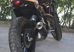 Ducati Scrambler 800 Nightshift (2023 - 25) usata