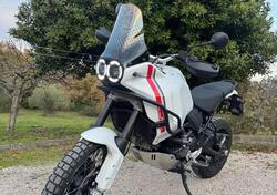Ducati DesertX (2022 - 25) usata