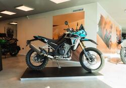 Kove 800X Rally (2024) nuova