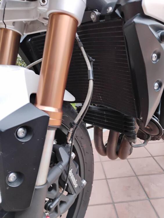 Triumph Speed Triple 1050 ABS (2011 - 15) (5)