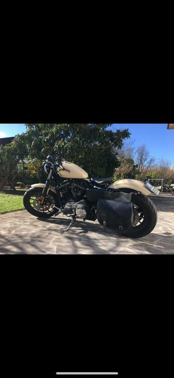 Harley-Davidson 883 Iron (2014 - 16) - XL 883N