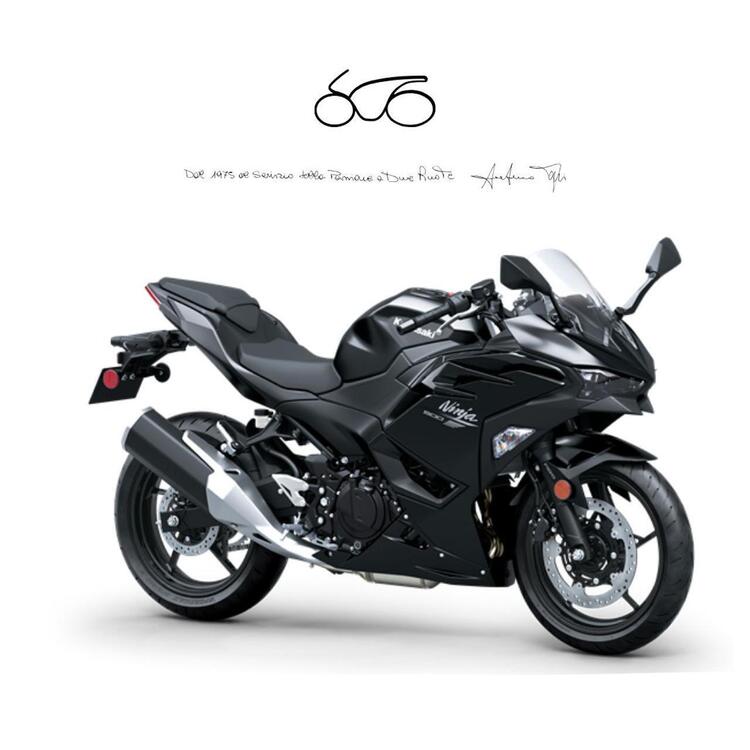 Kawasaki Ninja 500 (2024 - 26)