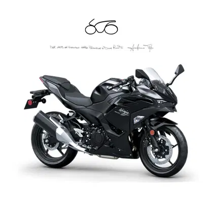 Kawasaki Ninja 500 (2024 - 26) nuova