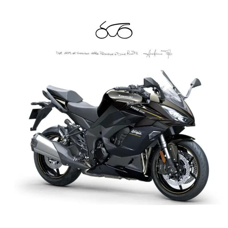 Kawasaki Ninja 1100 SX (2025 - 26)