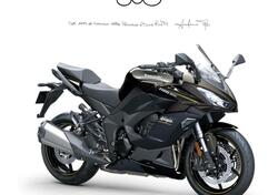 Kawasaki Ninja 1100 SX (2025 - 26) nuova