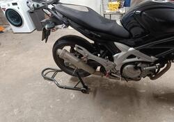 Suzuki Gladius 650 SFV (2009 - 15) usata