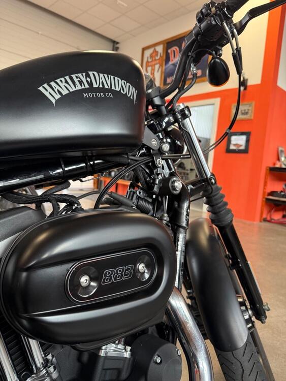 Harley-Davidson 883 Iron (2012 - 14) - XL 883N (3)