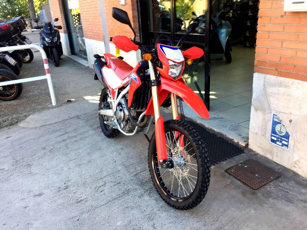 Honda CRF 300 L (2021 - 24) (2)