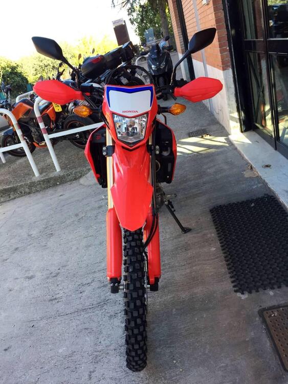 Honda CRF 300 L (2021 - 24) (3)