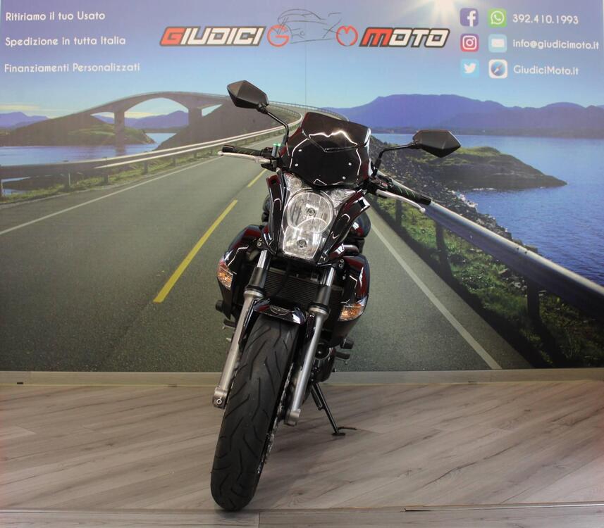 Kawasaki ER-6N (2009 - 11) (2)